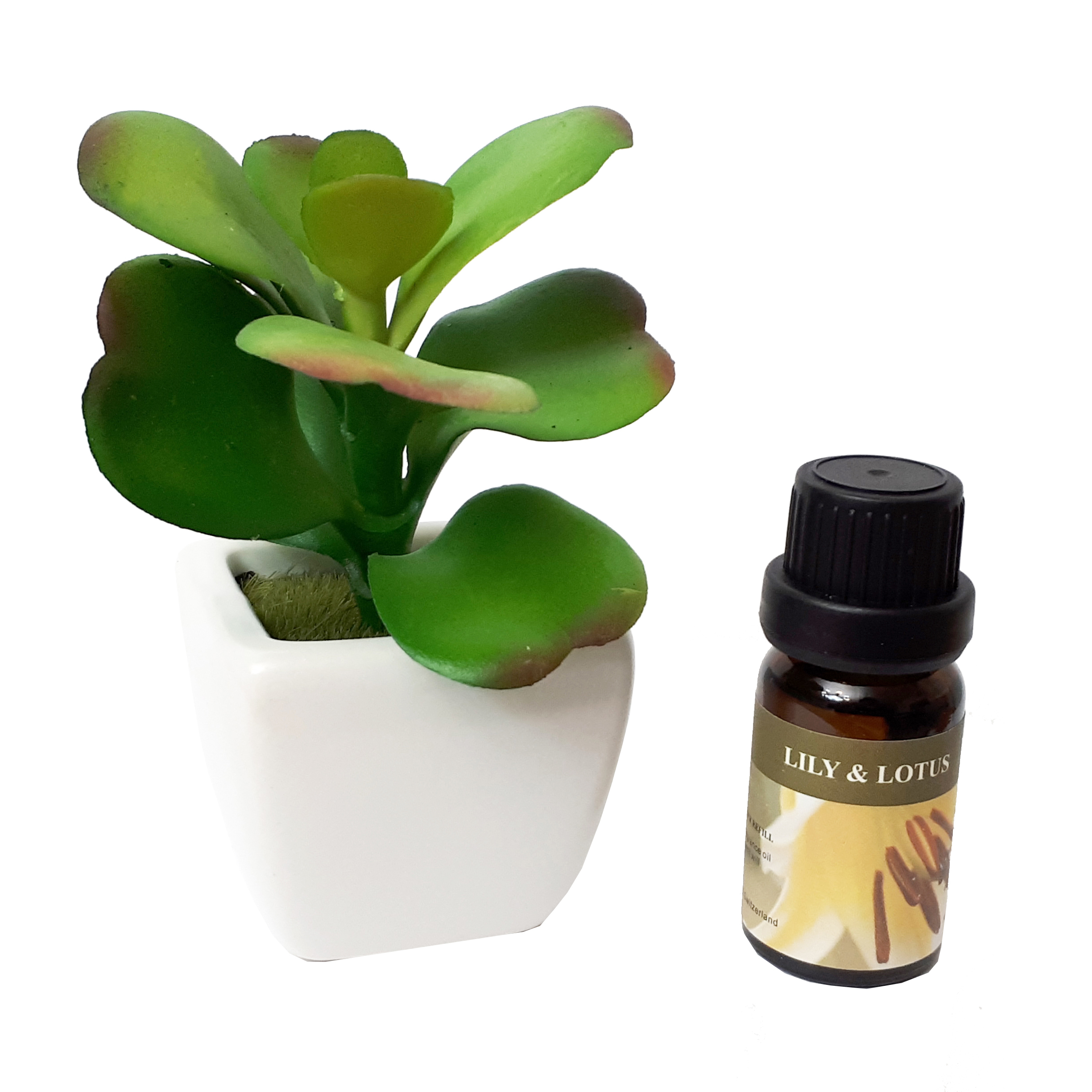 خوشبوکننده هوا مدل plant01 حجم ۱۰ میلی لیتر