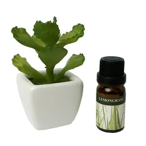 خوشبو کننده هوا مدل plant03 حجم 10 میلی لیتر