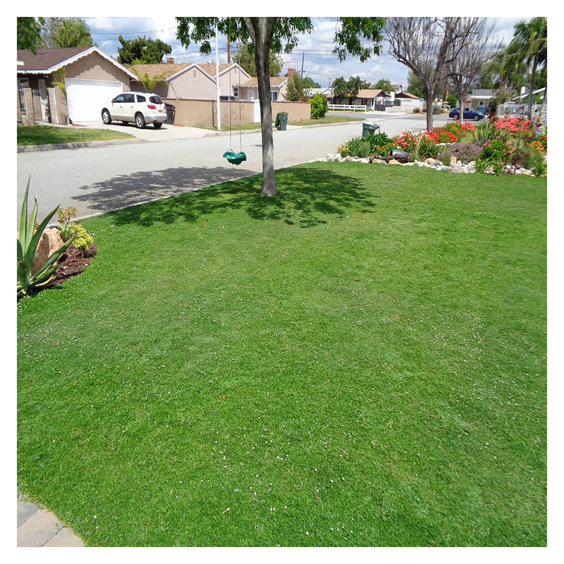 بذر چمن دایکوندرا گرین فارم کد012