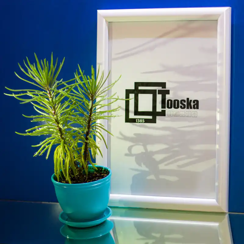 قاب عکس مدل 202 سایز 20×30 سانتی متر