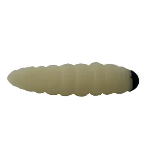 طعمه ماهیگیری طرح میگو کد 605 بسته 25 عددی