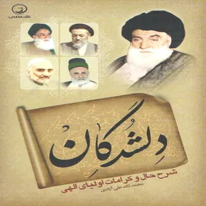 کتاب دلشدگان اثر محمد لک علی آبادی انتشارات هنارس