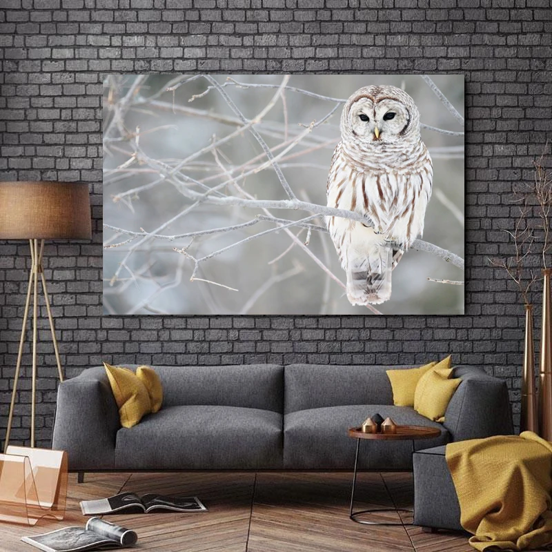 تابلو شاسی طرح جغد کد 15