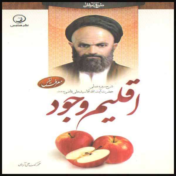 کتاب اقلیم وجود اثر محمد لک علی آبادی انتشارات هنارس 