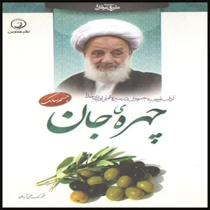 کتاب چهره ی جان اثر محمد لک علی آبادی انتشارات هنارس