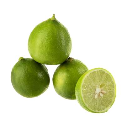 چگونه خارش و خشکی پوست صورت و بدن را درمان کنیم - راهنمای خرید کرم ضد خارش و خشکی و آموزش انواع روش های خانگی رفع خارش