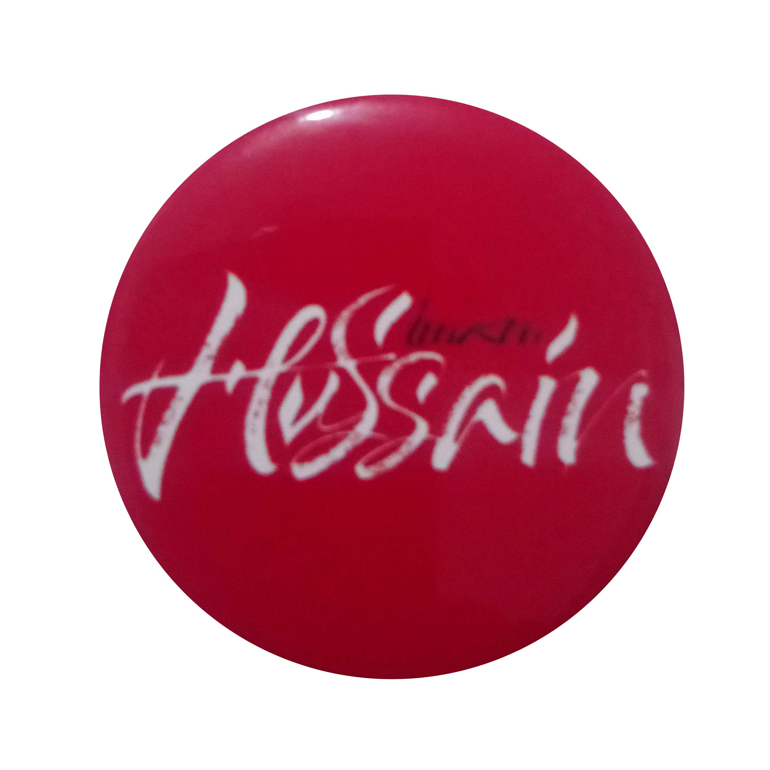 پیکسل طرح حسین مدل p489