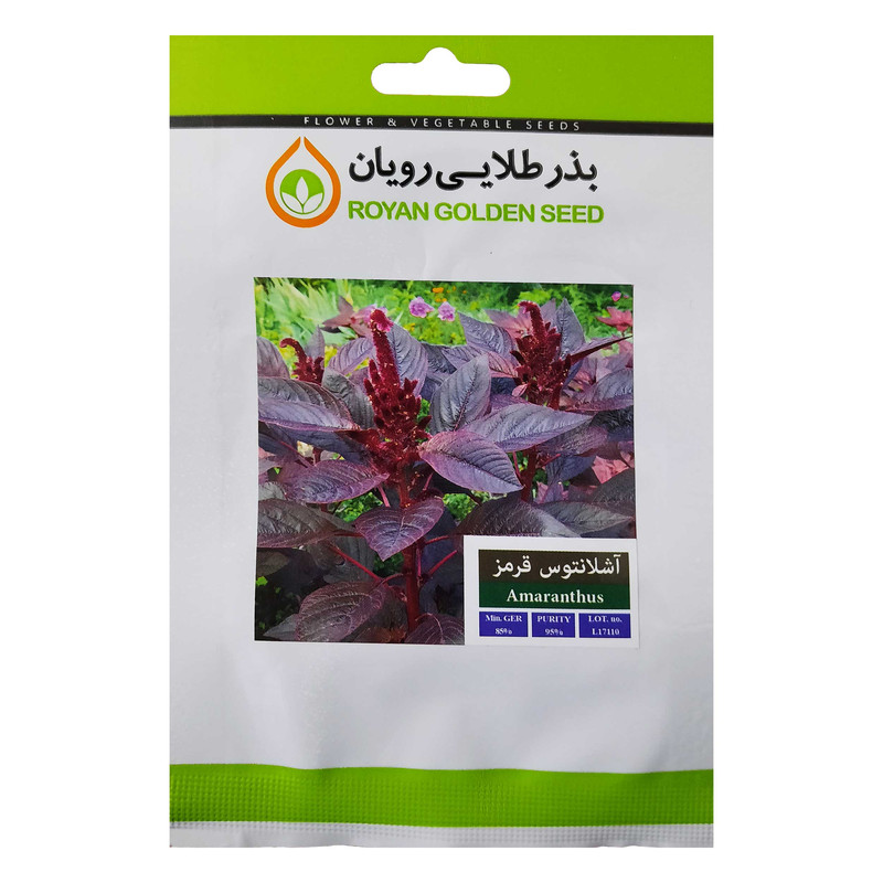  بذر گل آشلانتوس بذر طلایی رویان کد BZT-141