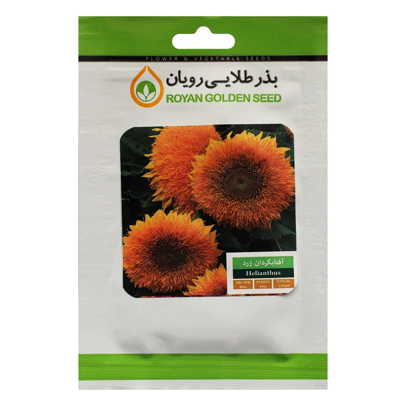 بذر گل آفتابگردان زرد بذر طلایی رویان کد BZTR-001