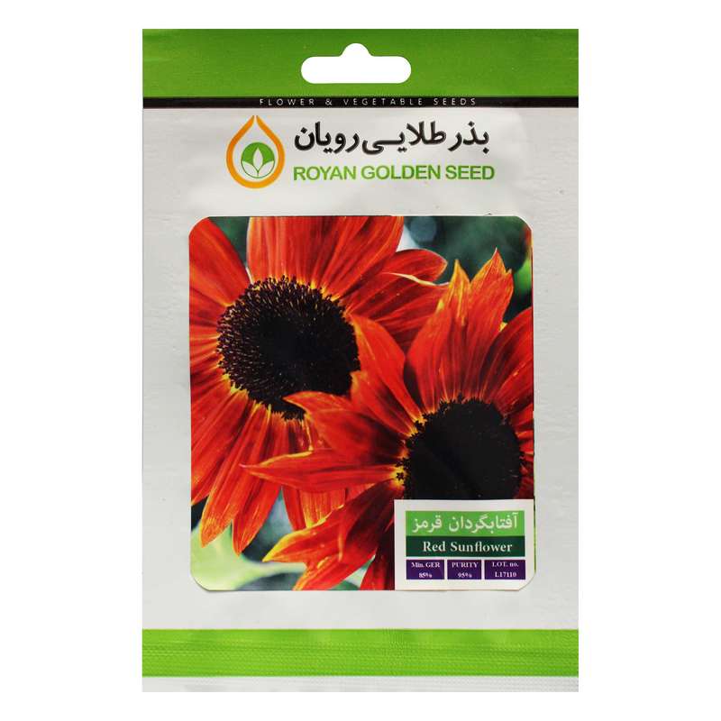 بذر گل آفتابگردان قرمز بذر طلایی رویان کد BZTR-002 بذر گل آفتابگردان قرمز بذر طلایی رویان کد BZTR-002