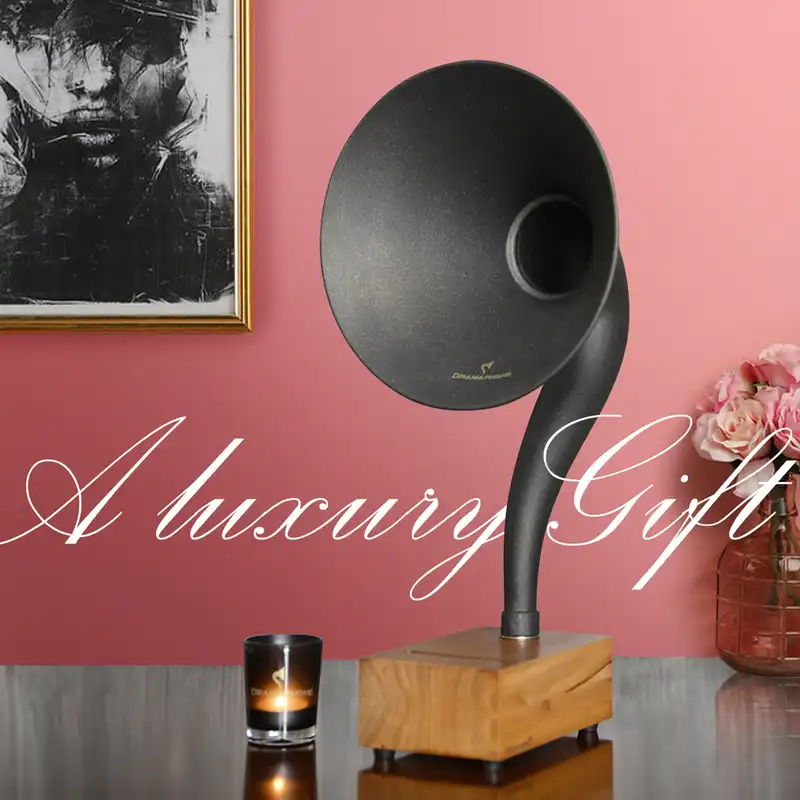 گرامافون درامافون مدل GD-01