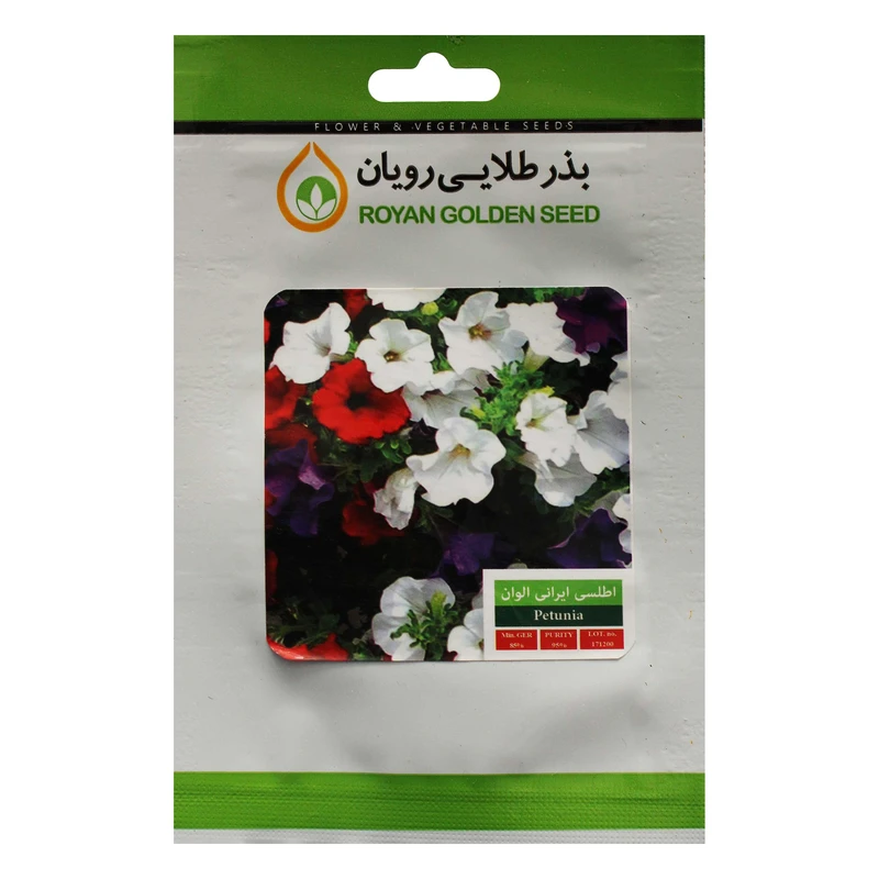 بذر گل اطلسی ایرانی الوان بذر طلایی رویان کد BZTR-007