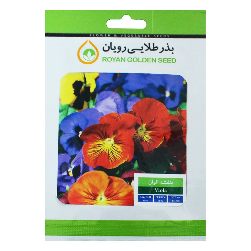 بذر گل بنفشه بذر طلایی رویان کد BZTR-008