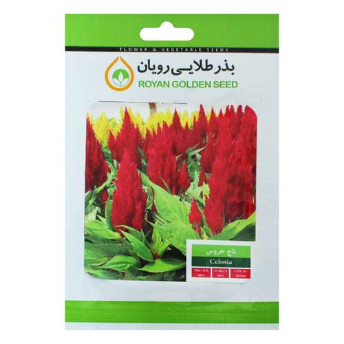 بذر گل تاج خروس بذر طلایی رویان کد BZTR-010