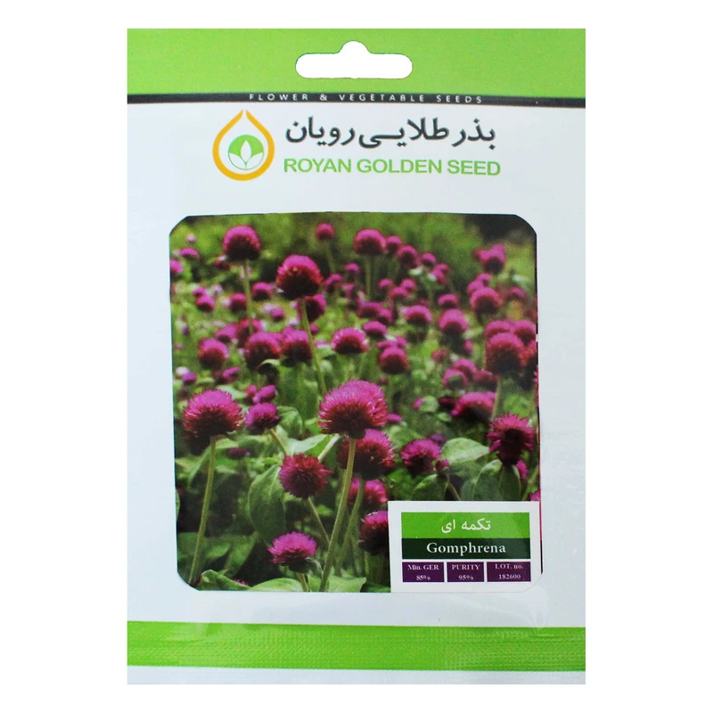 بذر گل تکمه ای بذر طلایی رویان کد BZTR-012