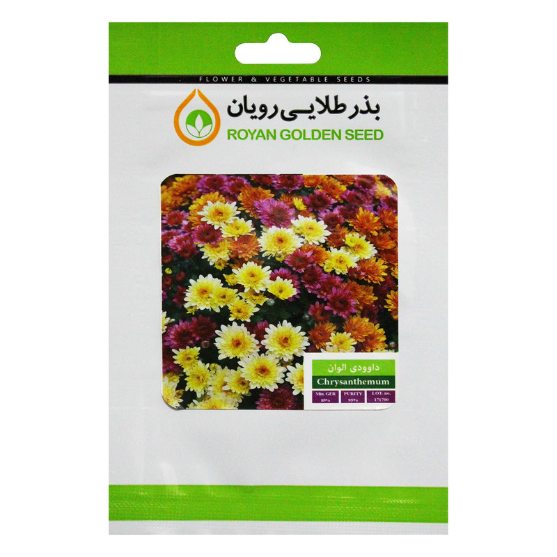 بذر گل داوودی الوان بذر طلایی رویان کد BZTR-016