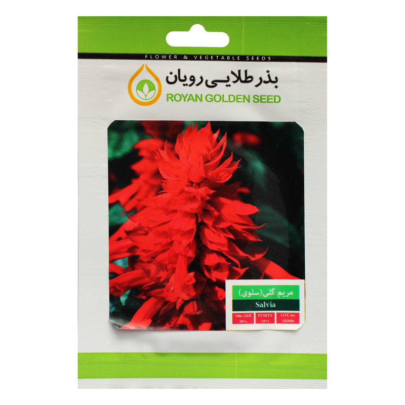 بذر گل مریم گلی بذر طلایی رویان کد BZTR-018