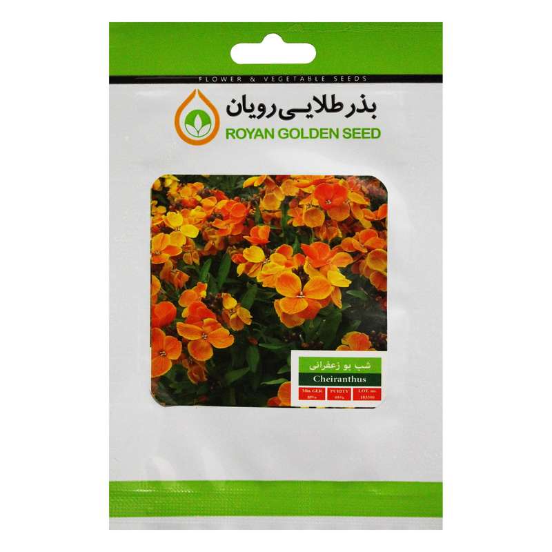 بذر گل شب بو زعفرانی بذر طلایی رویان کد BZTR-022