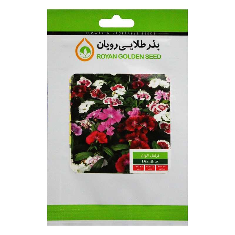 بذر گل قرنفل الوان بذر طلایی رویان کد BZTR-023