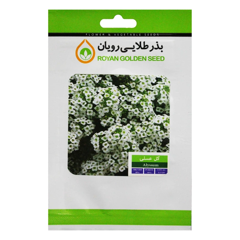 بذر گل عسلی بذر طلایی رویان کد BZTR-024
