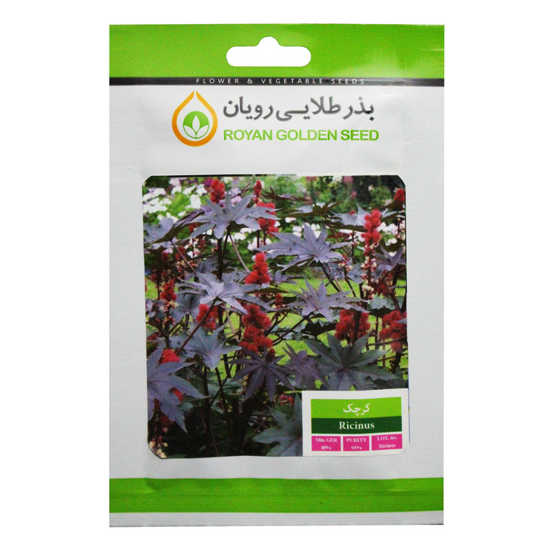 بذر کرچک بذر طلایی رویان کد BZTR-027 بذر کرچک بذر طلایی رویان کد BZTR-027