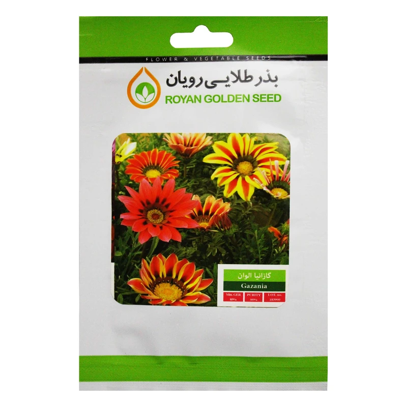 بذر گل گازانیا الوان بذر طلایی رویان کد BZTR-028