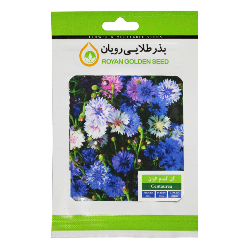 بذر گل گندم الوان بذر طلایی رویان کد BZTR-029 بذر گل گندم الوان بذر طلایی رویان کد BZTR-029