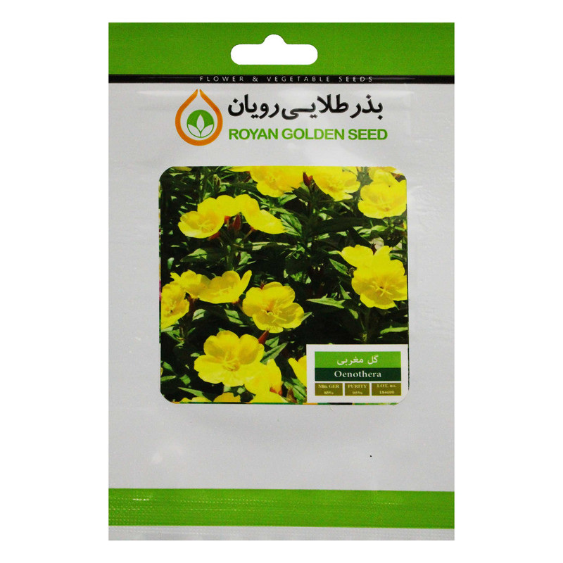 بذر گل مغربی بذر طلایی رویان کد BZTR-035 بذر گل مغربی بذر طلایی رویان کد BZTR-035
