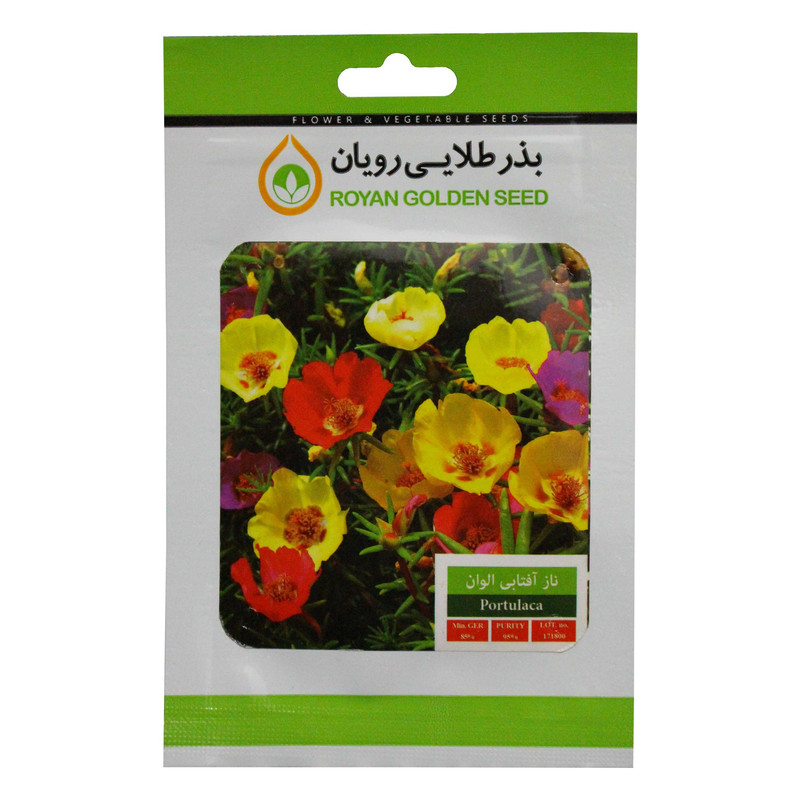 بذر گل ناز آفتابی الوان بذر طلایی رویان کد BZTR-036