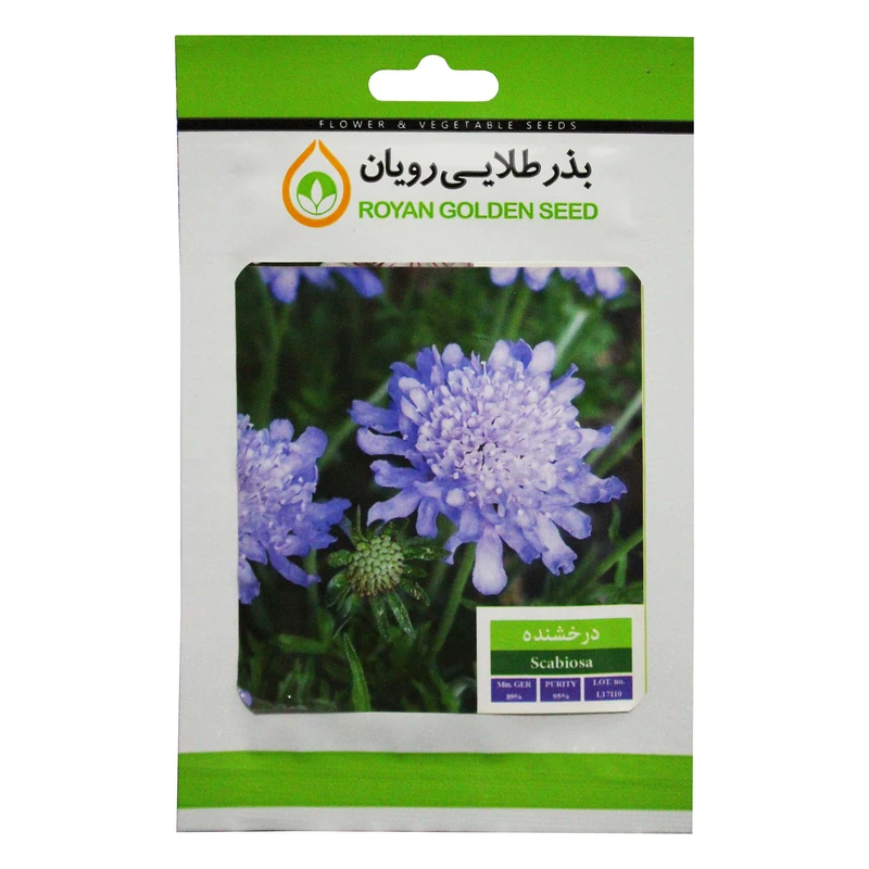 بذر گل درخشنده بذر طلایی رویان کد BZTR-040