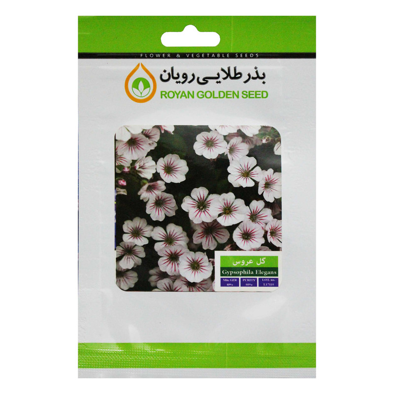 بذر گل عروس بذر طلایی رویان کد BZTR-041