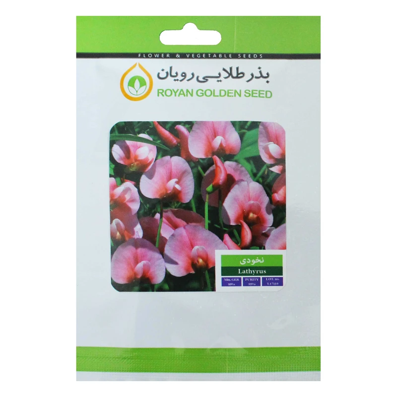 بذر گل نخودی بذر طلایی رویان کد BZTR-042