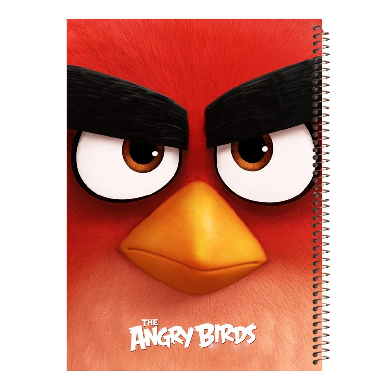 دفتر نقاشی مجنتا طرح انگری بردز کد 238