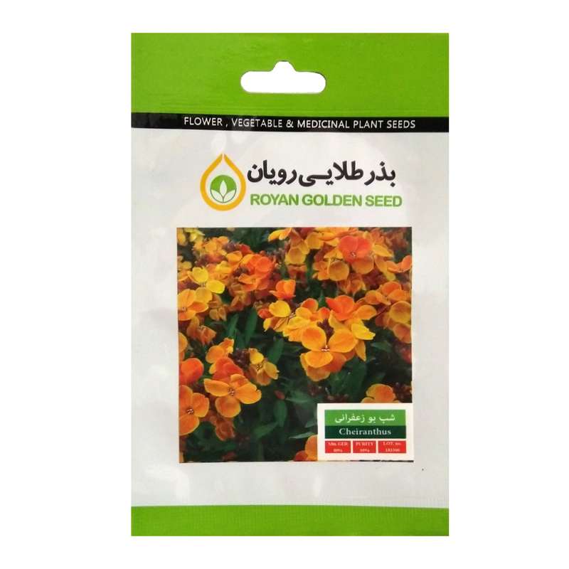 بذر گل شب بو زعفرانی بذر طلایی رویان مدل BZTR-007