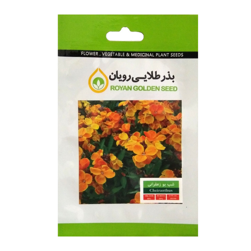 بذر گل شب بو زعفرانی بذر طلایی رویان مدل BZTR-007