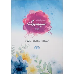 مقوا طراحی سیب کد W350 سایز 23x33 سانتی متر بسته 10 عددی