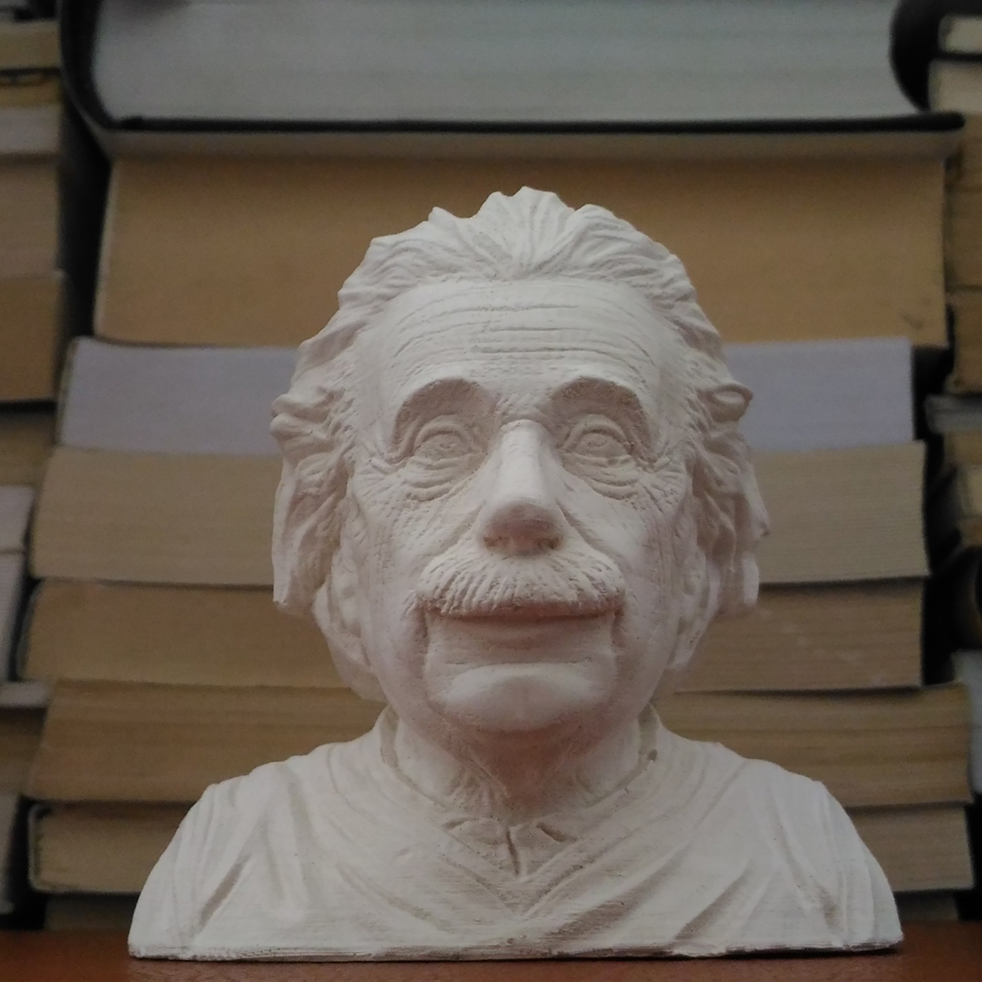 مجسمه طرح آلبرت اینشتین مدل x1015