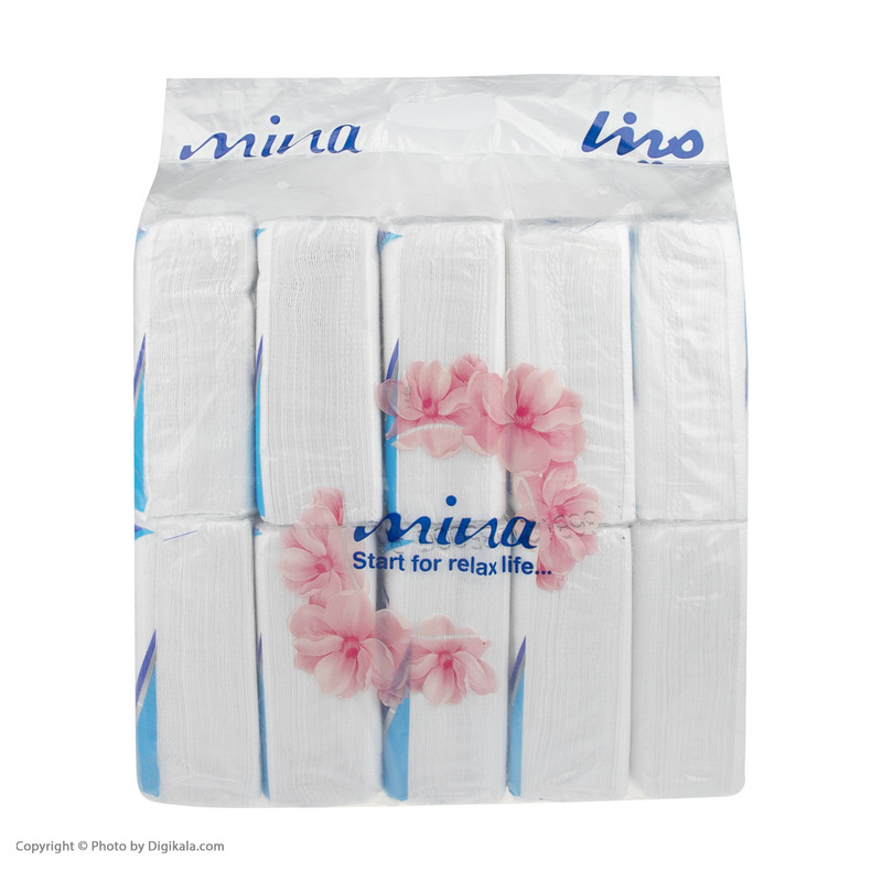 دستمال کاغذی 100 برگ مینا مدل Blue بسته 10 عددی
