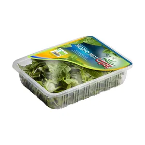 نعنا موهیتو بامیکا - 90 گرم