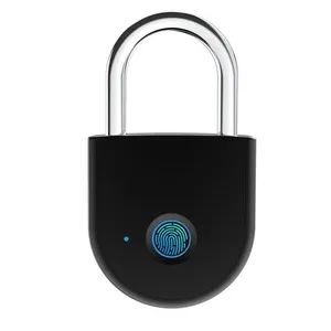 قفل آویز هوشمند کی تی مدل  W10