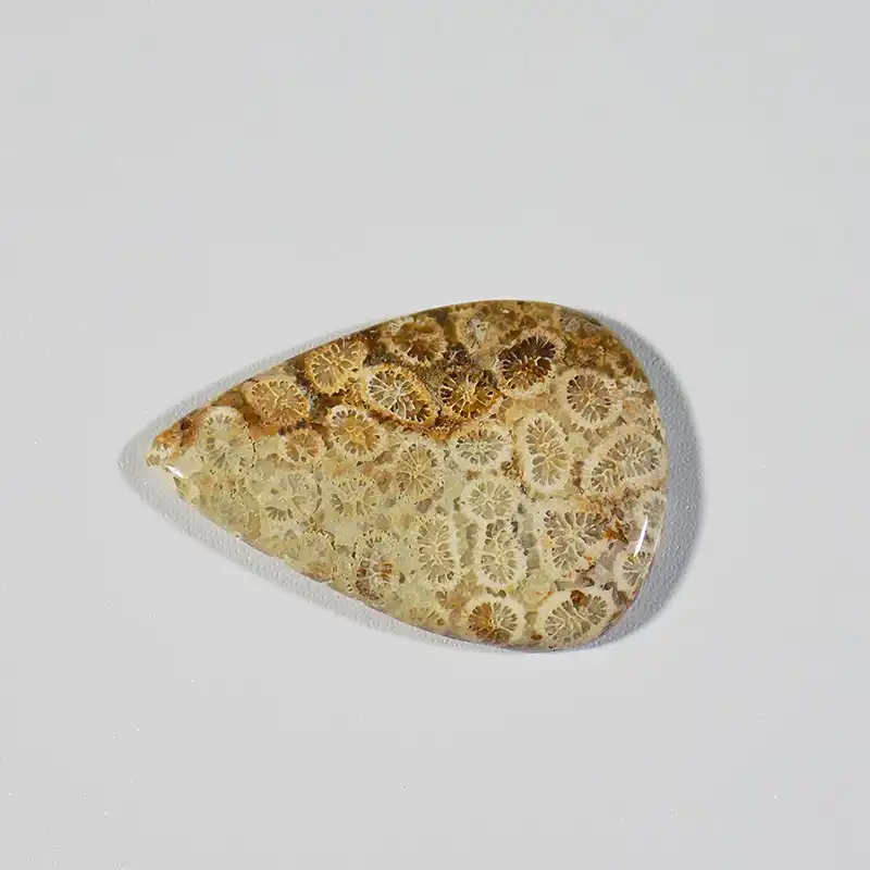 سنگ فسیل مرجان کد TG6133