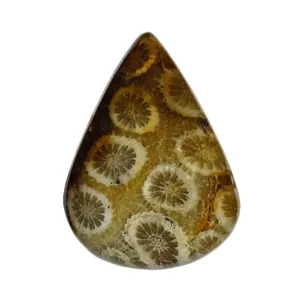 سنگ فسیل مرجان کد TG6137