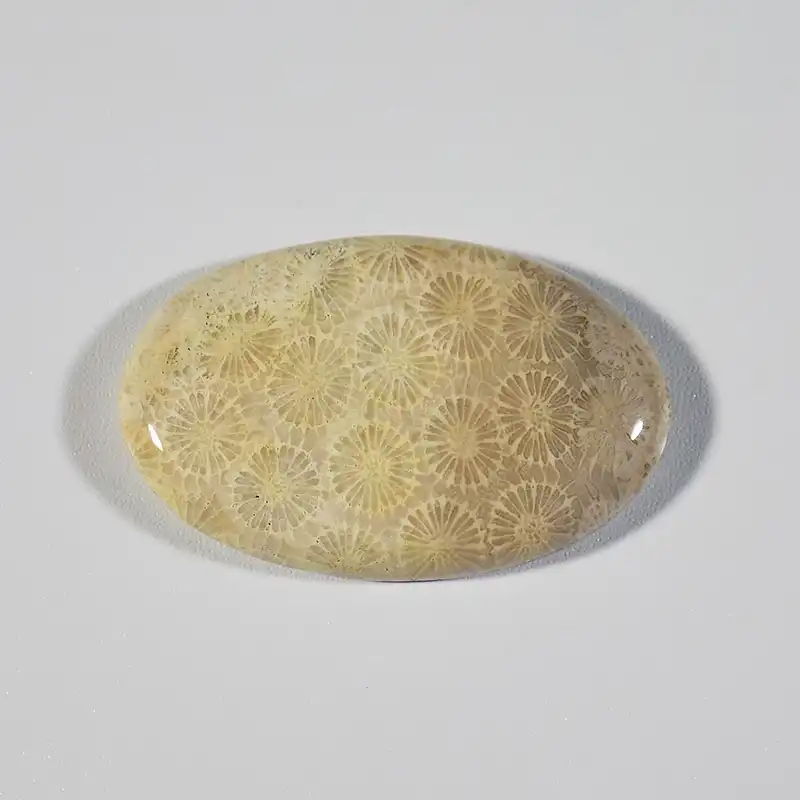 سنگ فسیل مرجان کد TG6138