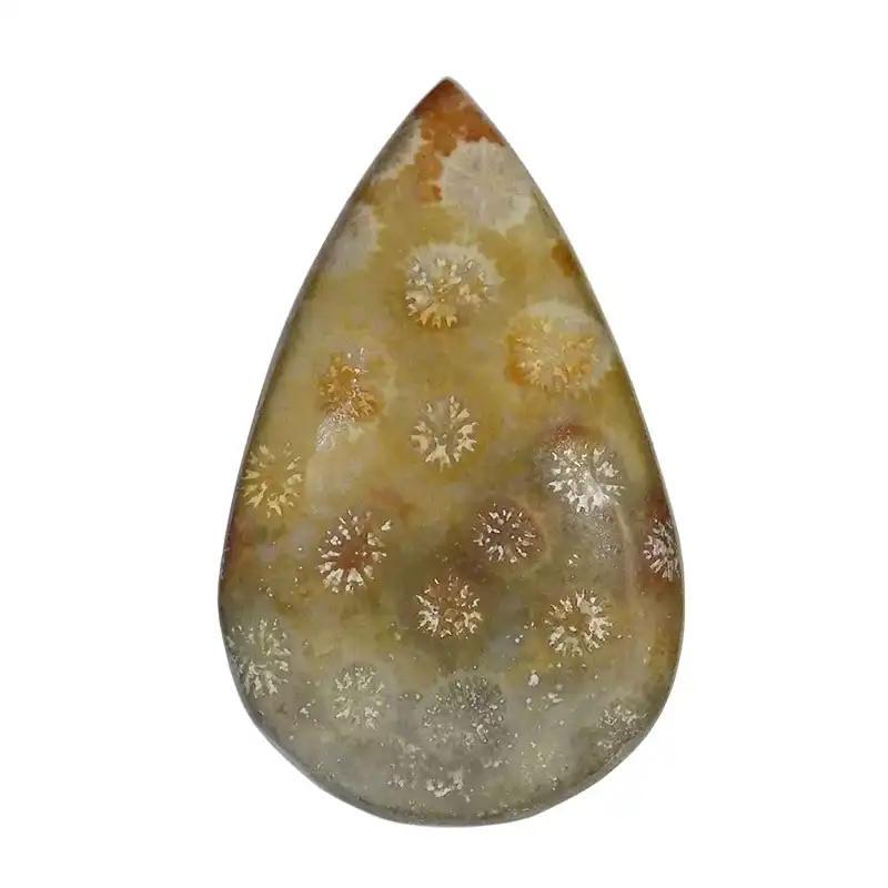 سنگ فسیل مرجان کد TG6146