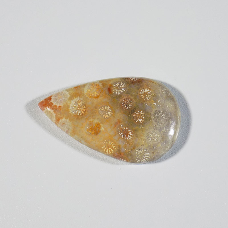 سنگ فسیل مرجان کد TG6146