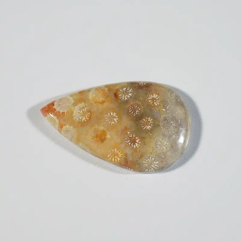 سنگ فسیل مرجان کد TG6146