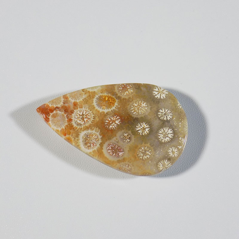 سنگ فسیل مرجان کد TG6146