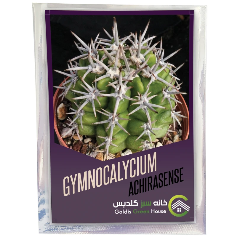 بذر ژمینوکالیسیوم آچیراسنس خانه سبز گلدیس کد 1835 بسته 10 عددی