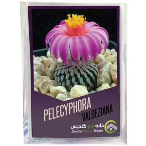 بذر پلسیفورا والدزیانا خانه سبز گلدیس کد 1402 بسته 10 عددی