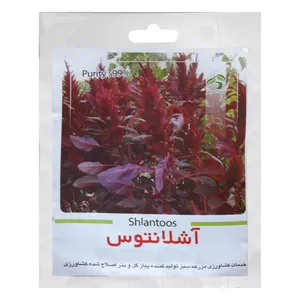 بذر گل آشلانتوس گرین فارم کد DDR20